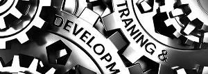 Training and Development