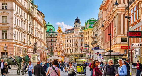 Vienna image